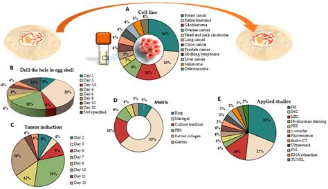 Experimental Tumor Induction and Evaluation of Its Treatment in the ...