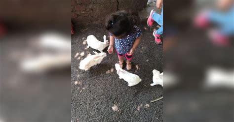 Kids Will Fall In Love With Both Animals And Nature At This Farm | LBB