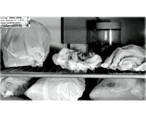 Crime Scene Photos Expose The Truth About Notorious Serial Killer ...