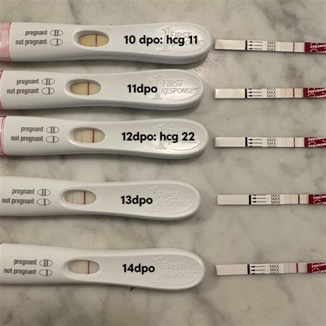 Line progression (or lack of) 10-14 dpo - chemical pregnancy? FRER and ...