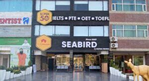 CWC Immigration Mohali 的图像结果