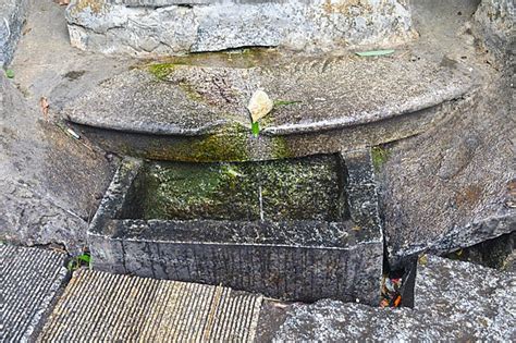 Image result for Mountian SpringSource