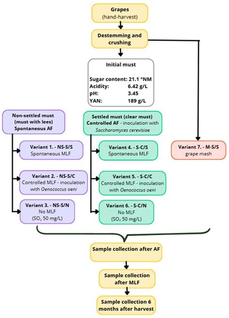 The Influence of Winemaking Processes on the Formation of Biogenic ...