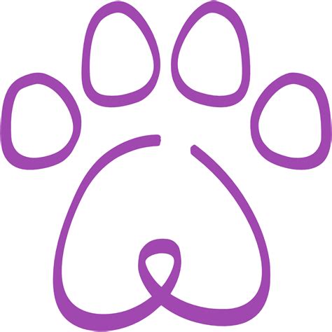 Veterinary Assistant vs. Veterinary Technician - A Comparison | VCS