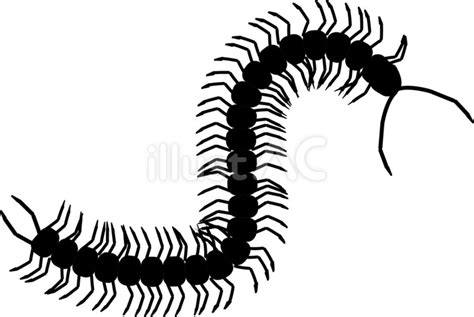 Image result for Python Coding Worksheets