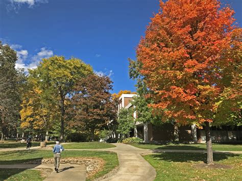 Fall colors in Northeast Ohio in 2020 - cleveland.com