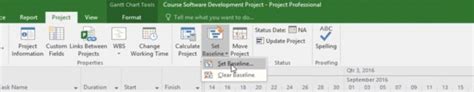 Microsoft Project Baseline Tutorial 的图像结果