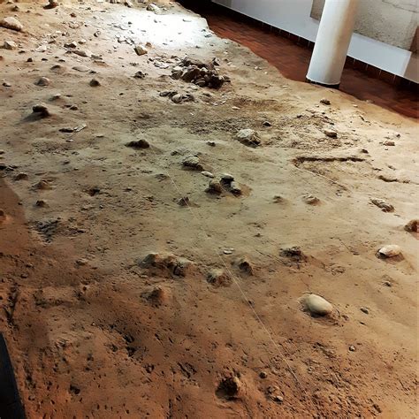 TERRA AMATA MUSEUM - All You Need to Know BEFORE You Go 2026 (with ...