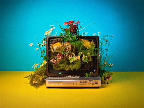 Image result for Comment Retrouver Code Pin TV