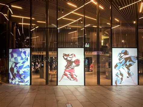 Window Projection Loop 的图像结果