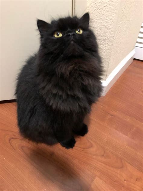 Image result for Most Confusing Meme Photo