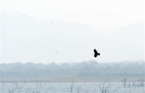 11 Baffling Unsolved Indian Mysteries That'll Make You Question Everything