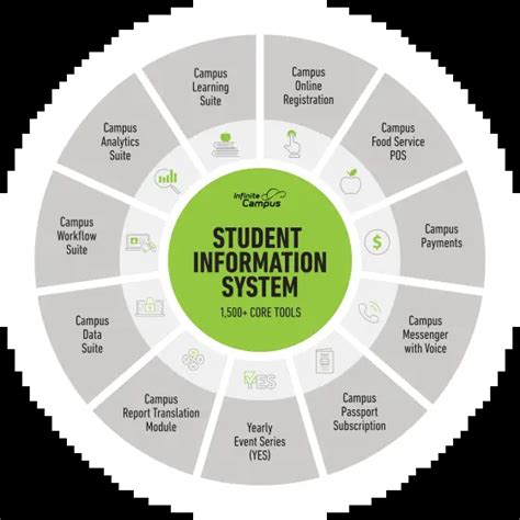 Image result for SQL and Infinite Campus How To
