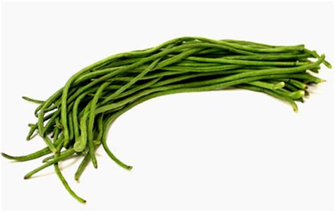 Seedstores ~ Hybrid Yard Long Bean (NS-620) Green Cow Pea High Yield ...