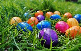 Image result for Spring Flowers Easter Eggs Easter Bunny Easter Birds