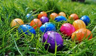 Image result for Bunny and Eggs