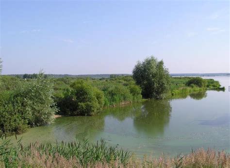 Нарские пруды: фото, описание и отзывы