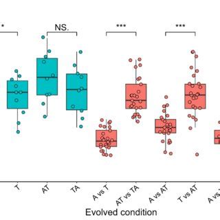 Image result for Conditions of Parallelism