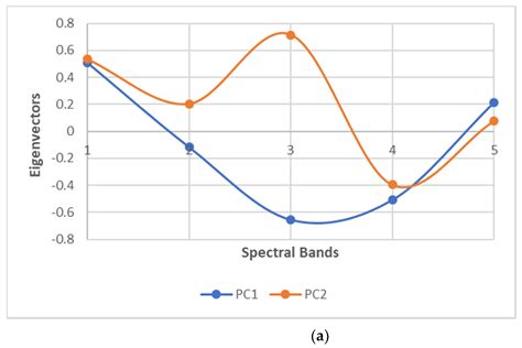 The Use of an Unmanned Aerial Vehicle for Tree Phenotyping Studies