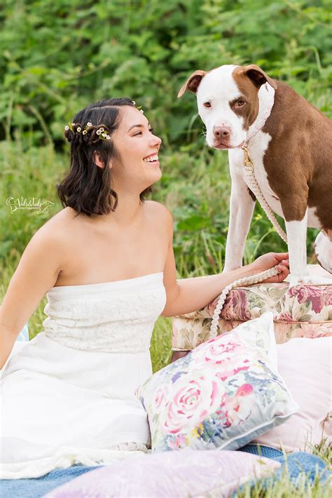 Wedding Bride Dogs 的图像结果