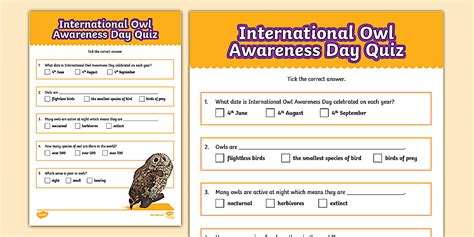 KS2 International Owl Awareness Day Quiz - Twinkl