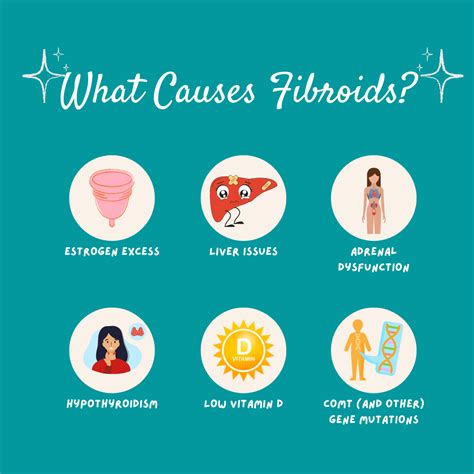What Causes Uterine Fibroids? | Christine Garvin