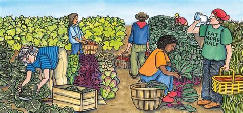 What Happens to Farm Goods Before You Eat Them 的图像结果