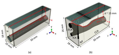 Physics of Within-Tissue Wave Propagation Generated by Pulse ...