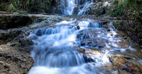 Image result for Free Grammar Program