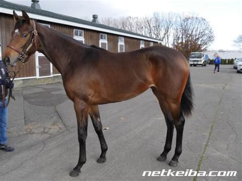 ユールファーナ (Julstjarna) | 競走馬データ - netkeiba