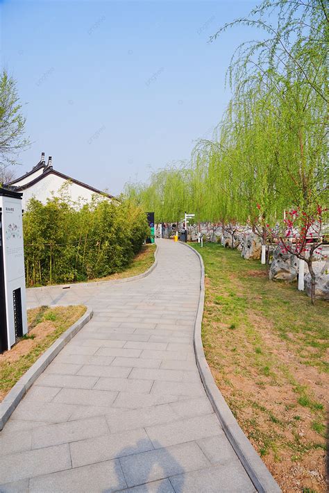 Spring View 的图像结果