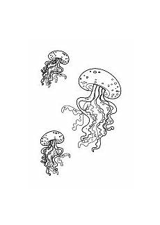 quallen malvorlagen pdf ausmalbilder fische krebse seepferdchen kraken quallen quallen malvorlagen pdf ausmalbilder fische krebse seepferdchen kraken quallen