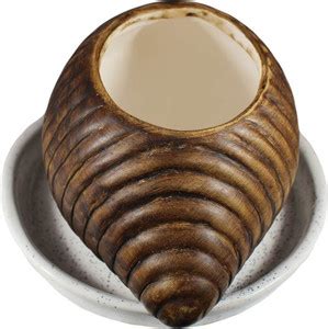 Lasaki Claudia with Tray Plate Ceramic Pots for Indoor Plants,Planters ...