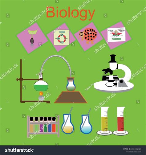 Image result for Science Illustrations
