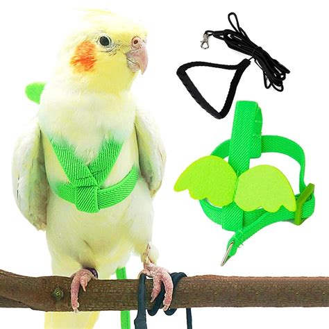 Plexaris Bird Harness,Bird Leash with Buckle Clip, Adjustable Parrot ...
