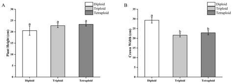 Polyploid Induction and Identification of Begonia × benariensis
