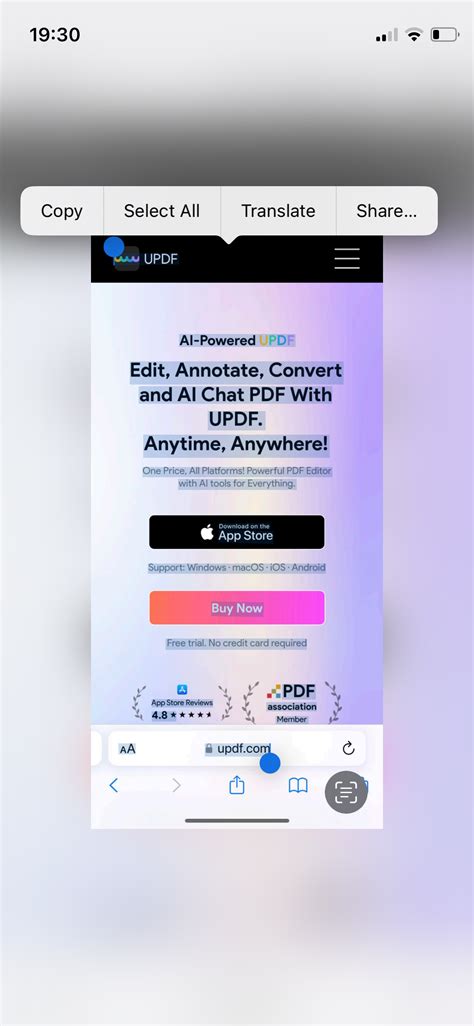 How to Copy Screen Text 的图像结果