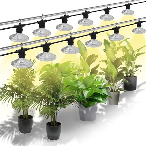 Amazon.com : SEEYANG Grow Lights for Greenhouse - Outdoor String Grow ...
