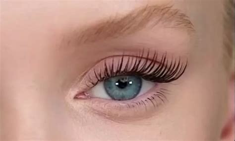 Harrisburg, PA Deals, Coupons & Discounts | Groupon