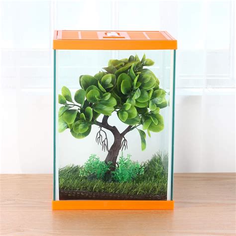 Buy crapelles Reptile Tank, Insect GlassTerrarium Tall Box, Color ...