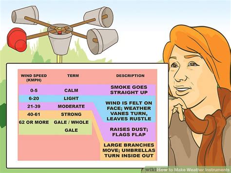 Image result for Weather Instrument Using Items at Home
