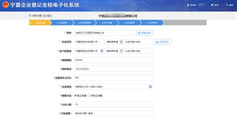 宁夏企业登记全程电子化系统企业设立登记操作流程说明_95商服网