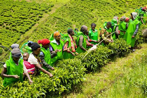 Economic empowerment of gender-based violence survivors | Invest for Jobs