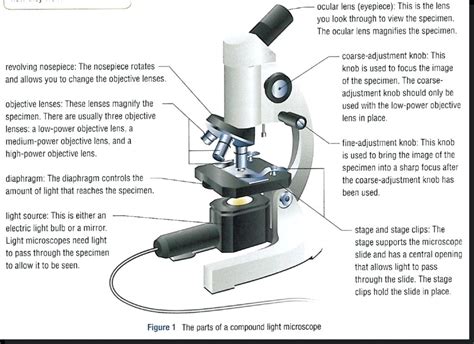 Image result for Video Microscope Play