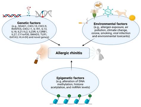 Genetics and Epigenetics in Allergic Rhinitis