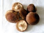 Mushroom Blog