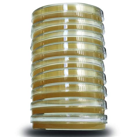 Buy ULTECHNOVO Agar Plates Prepoured Petri Dishes Culture Medium Agar ...