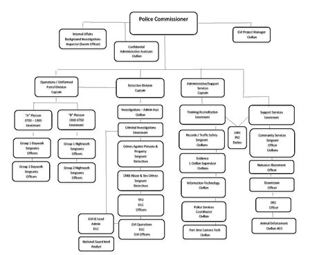 Image result for Police Command Structure
