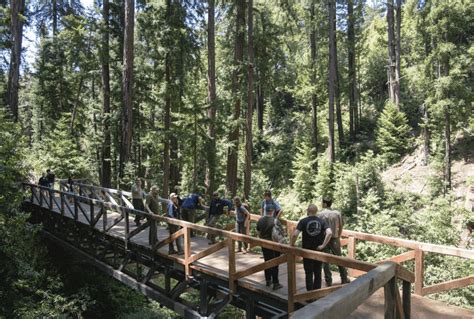 Pfeiffer Falls Trail reopens: Welcome back, hikers! | Save the Redwoods ...