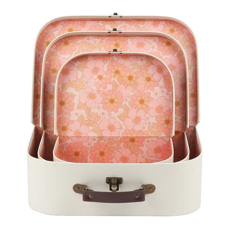 Suitcase Storage Box 的图像结果